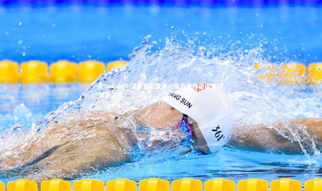 jinnianhui-汉堡奋起直追，全力争夺德国足球冠军宝座