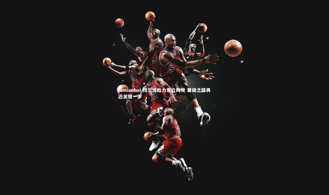 jinnianhui-荷兰惊险力克立陶宛 晋级之路再迈关键一步