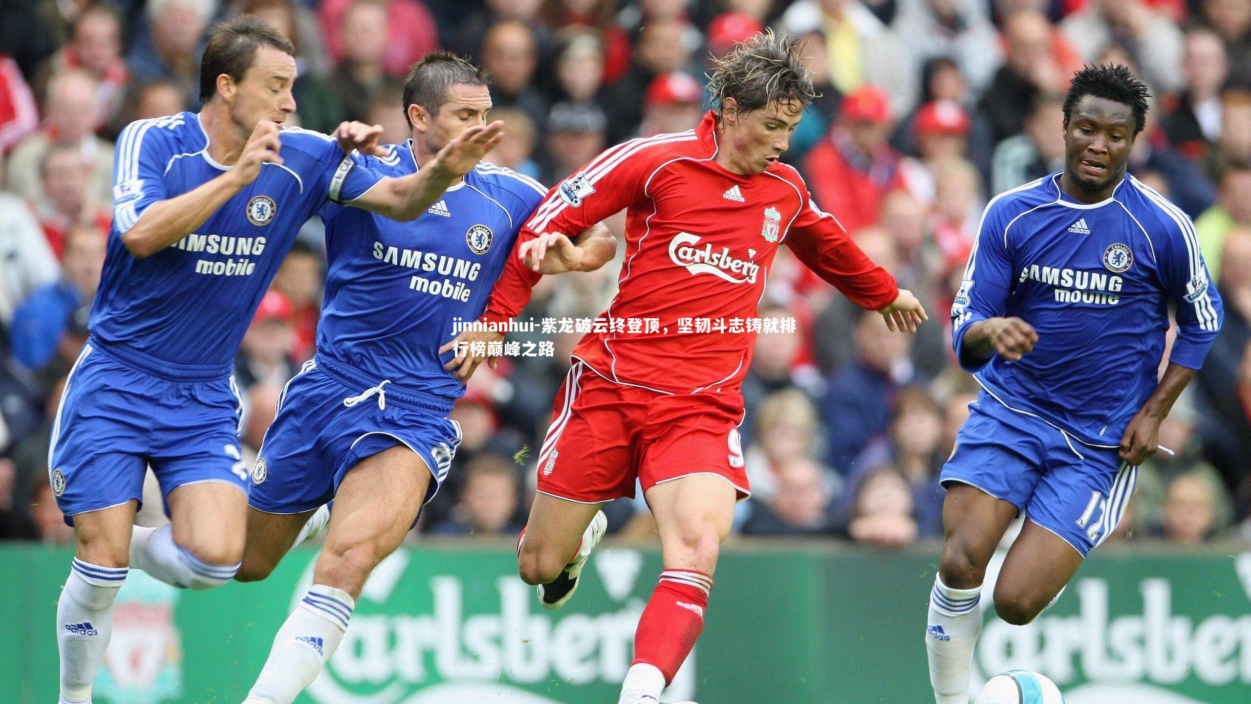 紫龙破云终登顶，坚韧斗志铸就排行榜巅峰之路